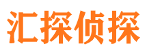 龙文侦探公司